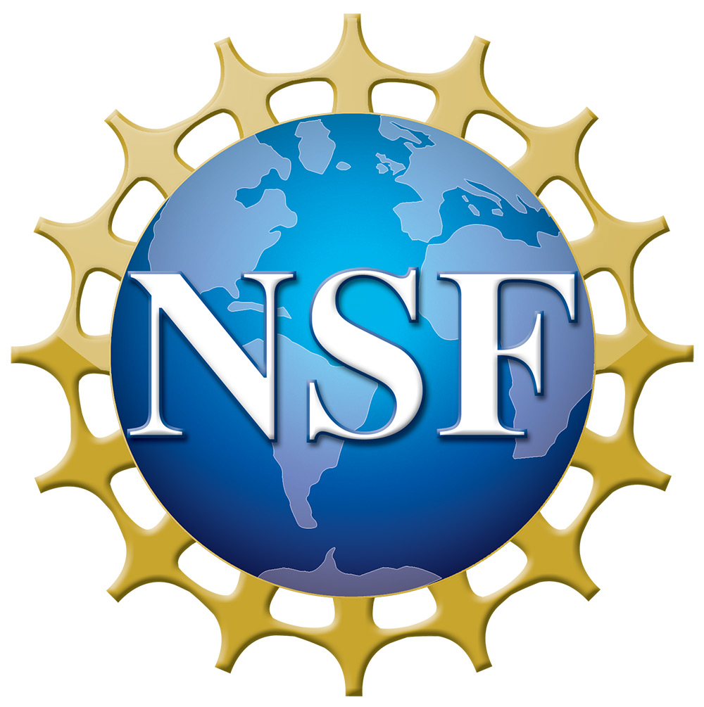 NSF logo National Science Foundation Logo