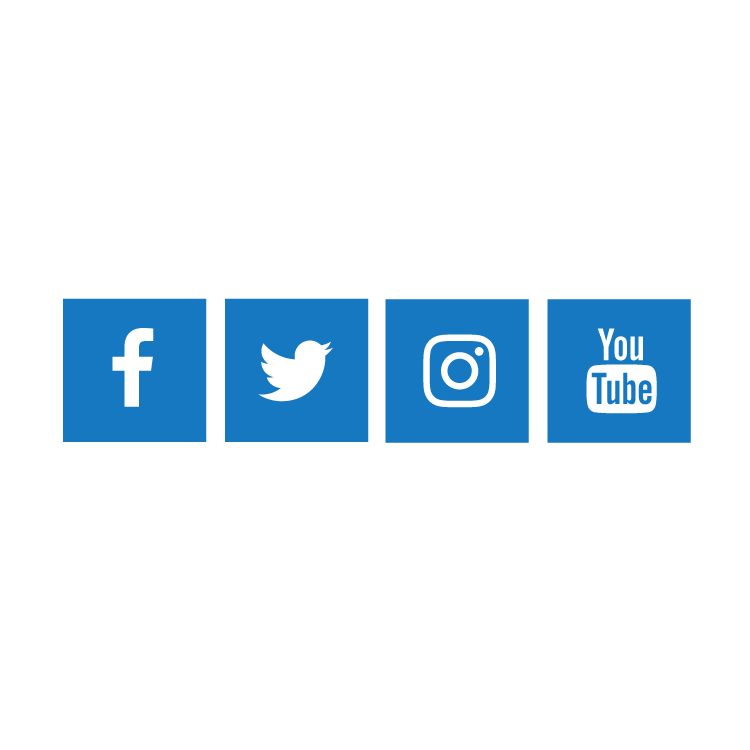 Social Media widget example icon