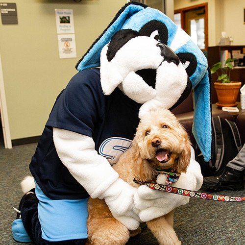 Santa Fe College mascot Caesar with Beau, a therapy dog at the college.