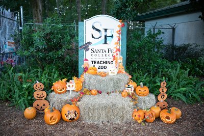SF Teaching zoo sign surrounded by hay bales and pumpkins