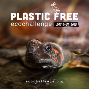 Image of brown turtle with red near mouth and on head. Text reads "Plastic Free Ecochallenge July 1-31, 2023. ecochallenge.org"