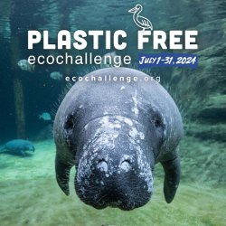 close up of manatee's face underwater with fish behind. Text reads Plastic Free EcoChallenge July 1-31, 2024. ecochallenge.org