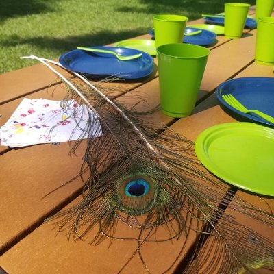reusable plastic plates, cups, cutlery, peacock feather and bookmarks