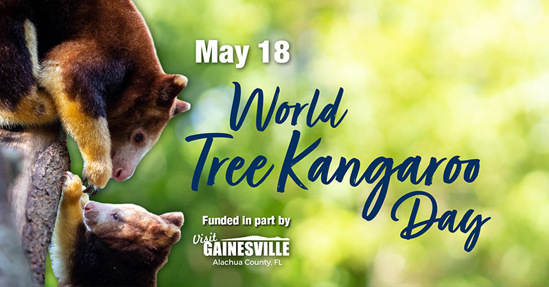 Card Tree Kangaroo Day