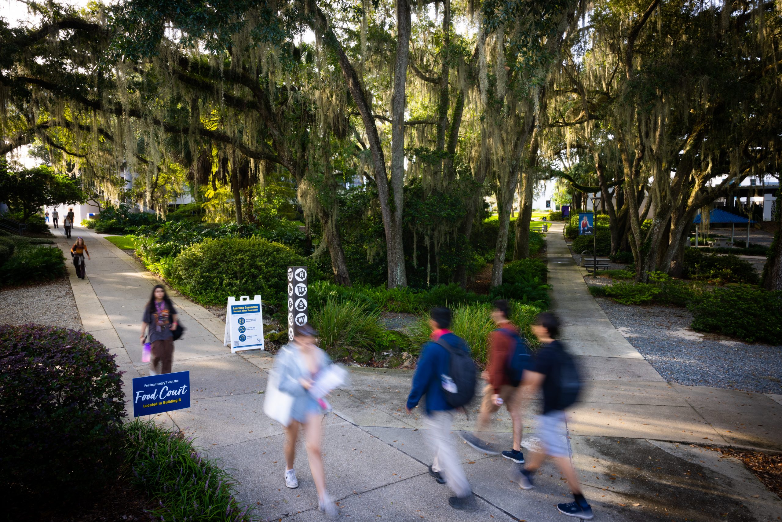 SF Midweek Review UF Open Enrollment and More