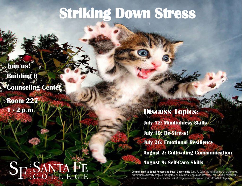 Striking Down Stress Poster with a kitten jumping toward the camera and the date of the upcoming July 19 event