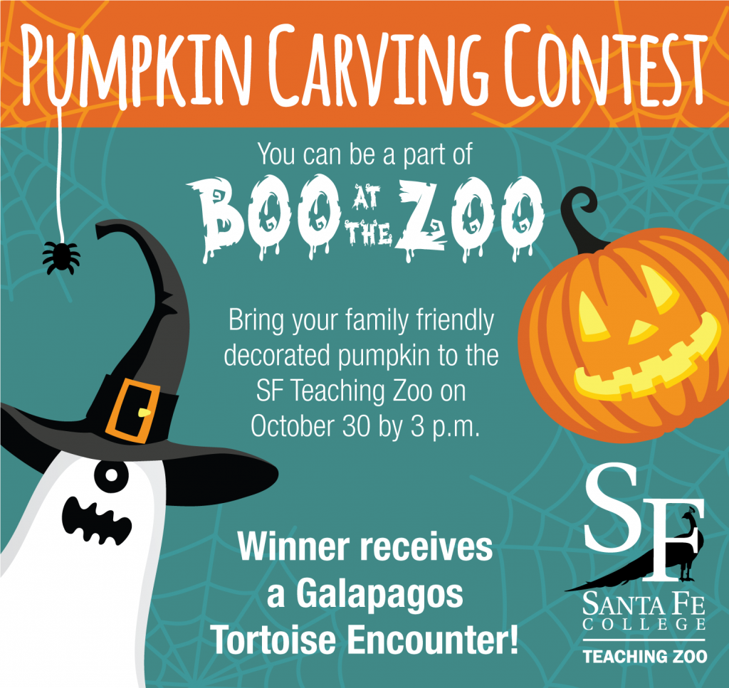 SF Teaching Zoo is holding a pumpkin carving contest. Picture of jack-o-lantern, spider webs and the SF Teaching Zoo logo.