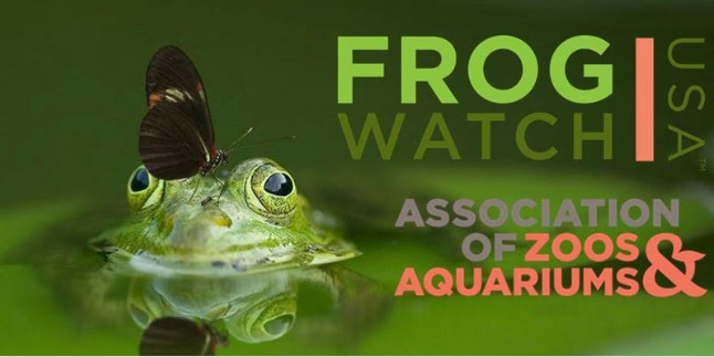 Frogwatch USA - picture of a frog with a butterly resting on the frogs head. The words Frog Watch USA, Association of Zoos and aquariums is on the side of the image.