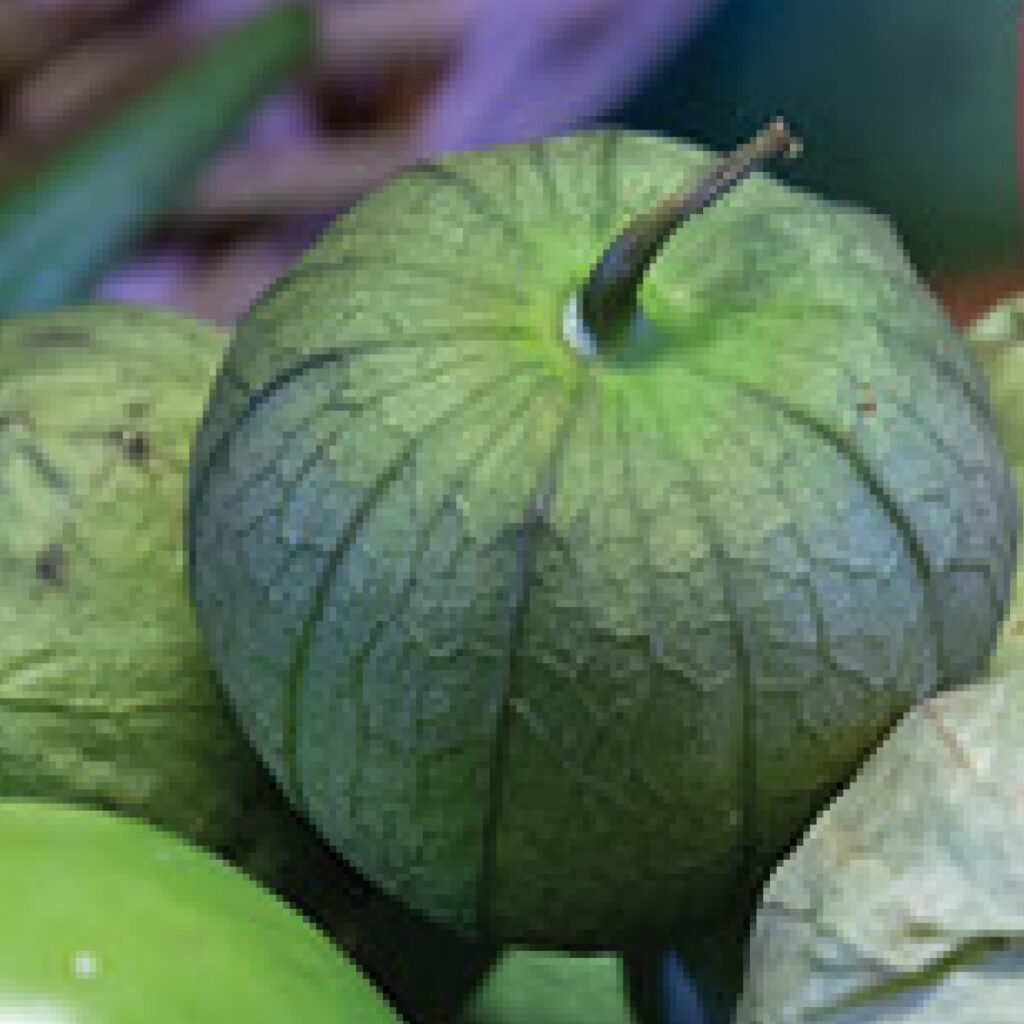 tomatillo