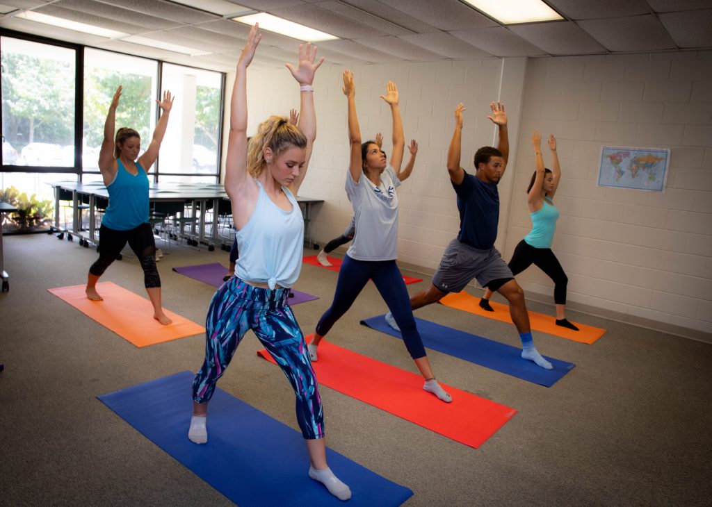 People in yoga poses