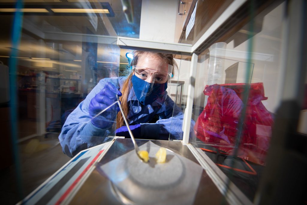 a laboratory technician working in a lab