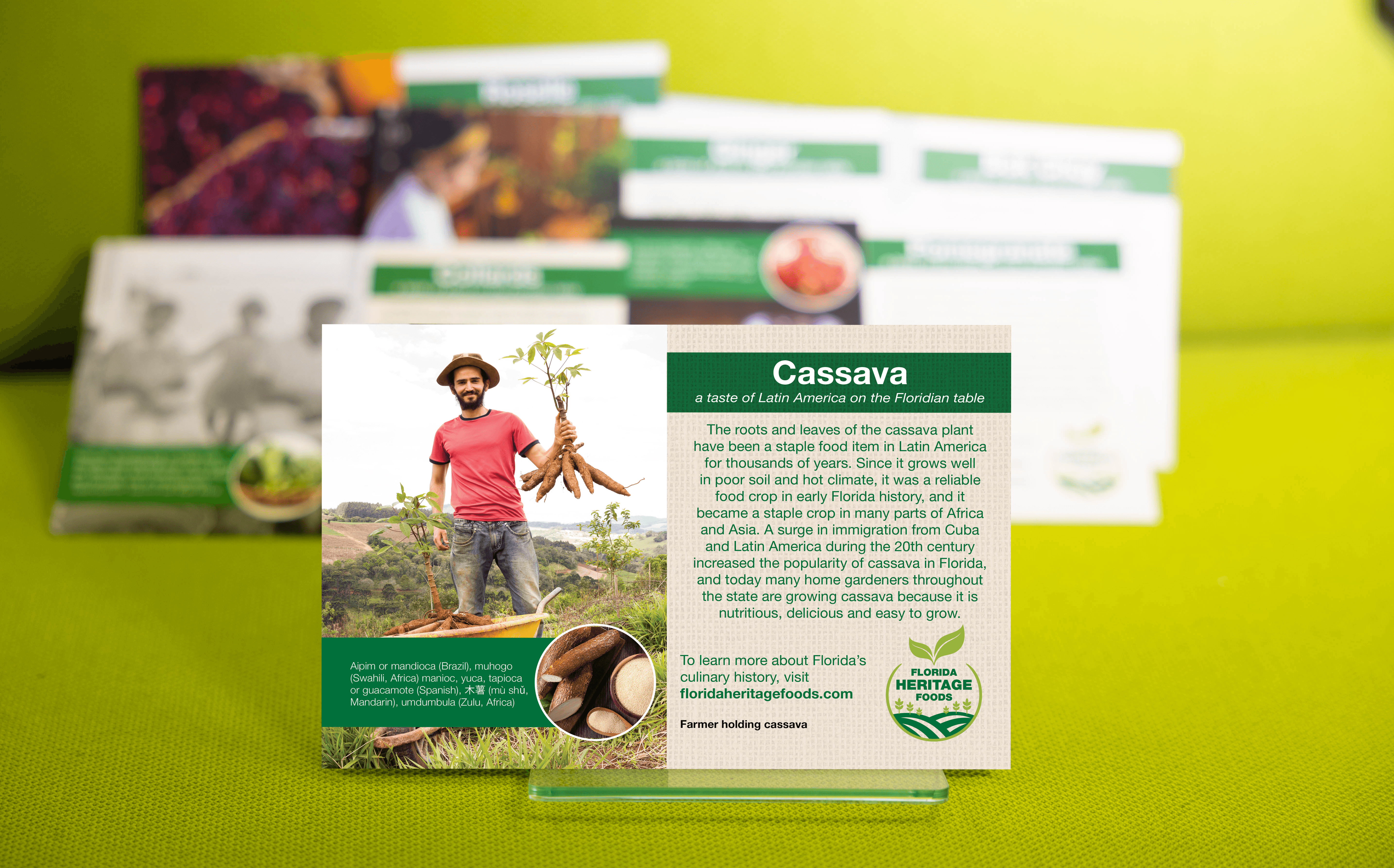 Cassava or Yuca Plant Card Photo