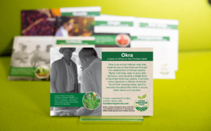 Okra Plant Card Photo