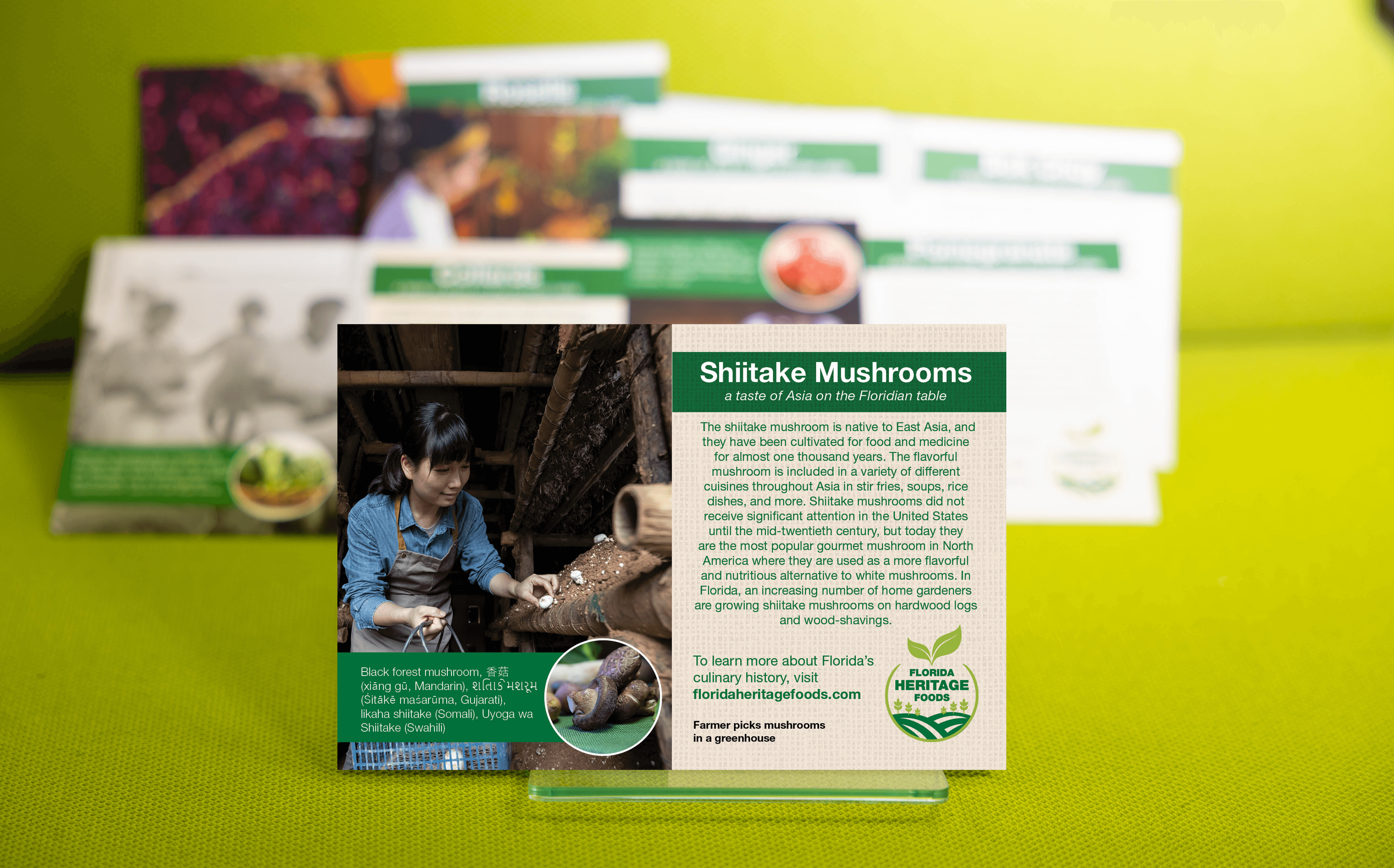 Shiitake Mushroom Plant Card Photo