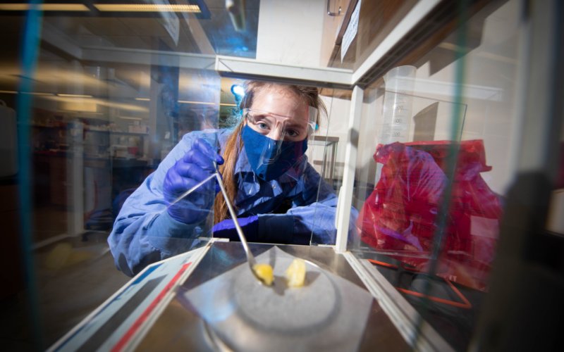 Industrial Biotechnology - Santa Fe College