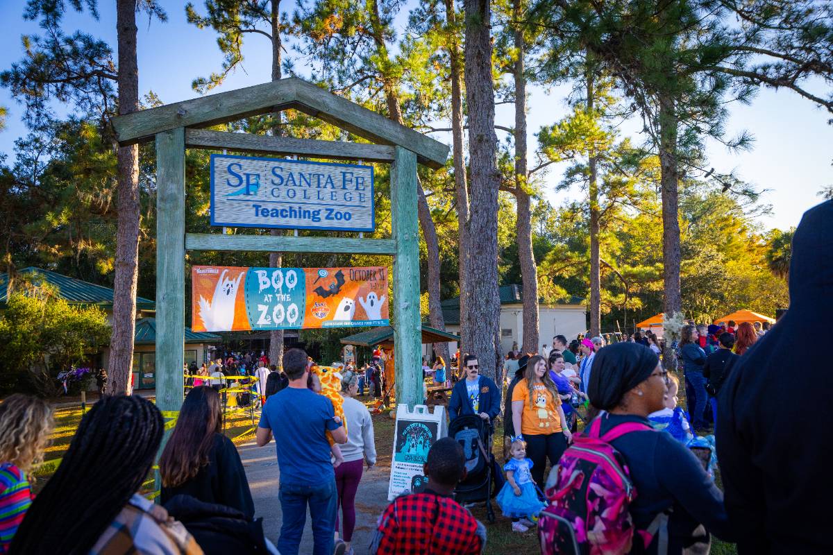 Entrance gate to Boo at the Zoo